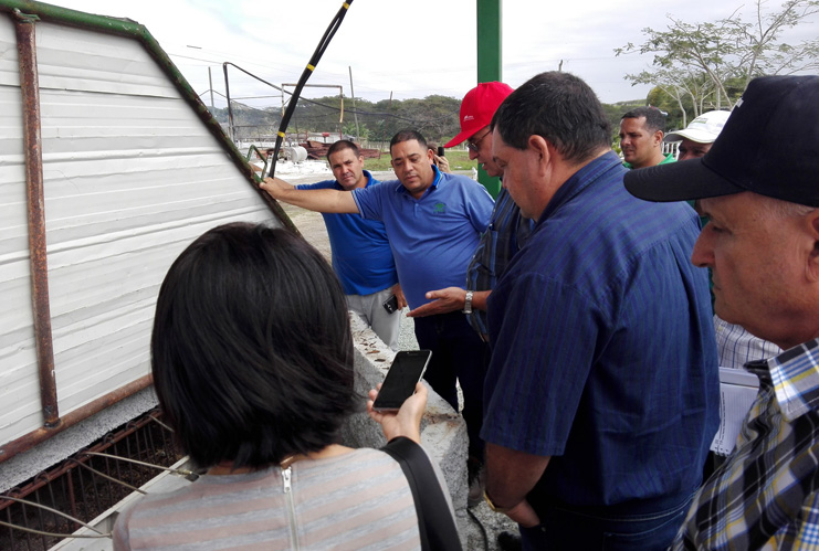 La Unidad Empresarial de Base productora de alimento animal, en la Pecuaria El Tablón, es referente nacional para la ganadería cubana. /Foto Armando Sáez