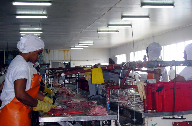 Con los nuevos productos Epicien supera la lista de 60 variedades diferentes a partir de la pesca acuícola y de plataforma. /Foto: Archivo