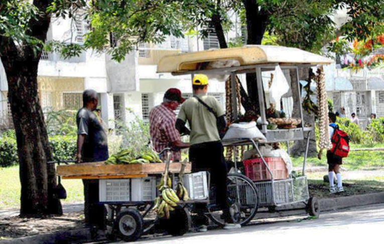 Fueron multados carretilleros por realizar su labor estacionados y otros por comercializar productos fuera del alcance de la actividad que ejercen./Foto: Centro de Documentación