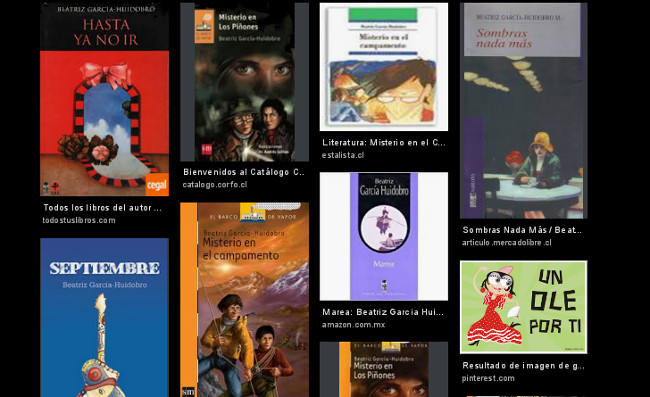 Muestrario de algunos de los libros de la intelectual chilena. /Captura de pantalla