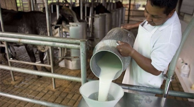 El sobrecumplimiento del plan de leche es meta en saludo al XII Congreso de la ANAP./Foto: Tomada de Internet