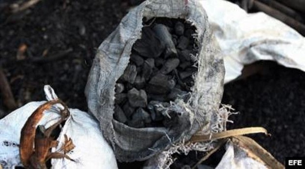 El carbón vegetal junto al ají picante,denominado también chile habanero, son renglones exportables en el polo productivo Horquita.