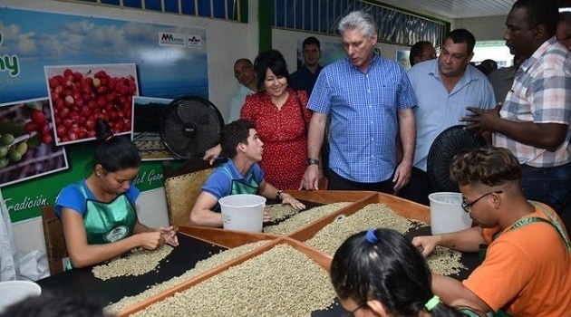 Procesadora de Café "Eladio Machín"./Foto: Presidencia Cuba