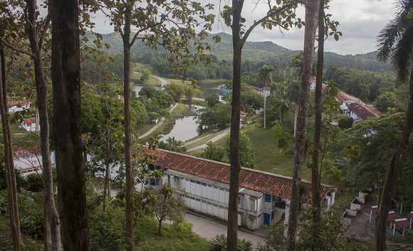 Hoy residen en Las Terrazas poco más de 1 000 personas; el 52% de la población es menor de 35 años y la edad promedio es de 33. Foto: Deny Extremera/ Cubadebate.