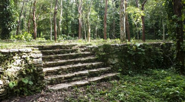 En la zona se conservan vestigios de 44 haciendas cafetaleras. En la foto, ruinas del cafetal La Unión. Foto: Deny Extremera/ Cubadebate.