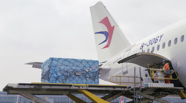 Airbus A-305 de una aerolínea china en el aeropuerto de Fiumicino (Roma) con toneladas de material médico y expertos para combatir el coronavirus en Italia. /Foto: Dpa