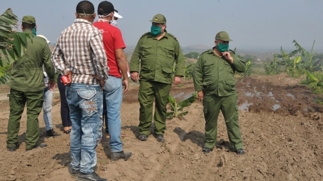 El presidente del Consejo de Defensa Provincial, Félix Duartes Ortega y el Gobernador de Cienfuegos, Alexandre Corona Quintero, intercambian con directivos del sector agrícola, en las propias áreas de Citrisur./ Foto: Juan Carlos Dorado