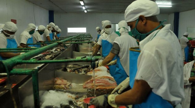 Trabajadores de la industria pesquera de Cienfuegos en el borde delantero de la producción de alimentos./Foto: Juan Carlos Dorado