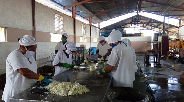 Trabajadores de la fábrica El Faro ponen empeño en la producción de alimentos./Foto: Tay Toscano
