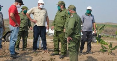 Las máximas autoridades políticas y gubernamentales de la provincia acuden de forma sistemática a constatar la marcha del programa de producción de alimentos, encaminado a asegurar la alimentación en medio del bloqueo y de la pandemia del coronavirus./ Foto: Juan Carlos Dorado