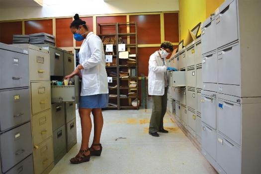 Asegurar la conservación en las mejores condiciones posibles, es una prioridad para los archiveros cubanos./ Foto: Emilio L. Herrera Villa