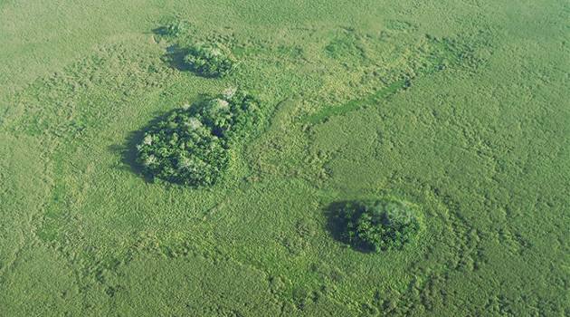 Vista aérea de los "islas flotantes" con evidencia que apunta a su construcción por grupos humanos con fines agrícolas.