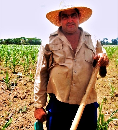 En los predios de la finca El porvenir, el trabajo transforma la tierra en alimentos para el pueblo. / Foto: Armando Sáez
