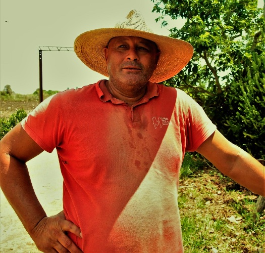 “Sentí añoranza por la lomita, pero como la tierra, no hay”, afirma el exrelevista derecho del equipo Cienfuegos./ Foto: Armando Sáez