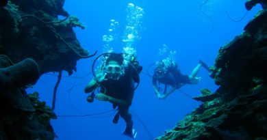 “Tomar fotos fue el primer modo de capturar y compartir el sentimiento que me hace sentir la belleza de los fondos submarinos", Alexandra Béland./Foto: Online Tours