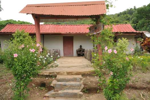 Socialización, conservación y manejo sostenible de las especies, propósitos esenciales del Museo de Sitio de Plantas Medicinales Gallego Otero. /Foto: Juan Carlos Dorado (Centro de documentación) 