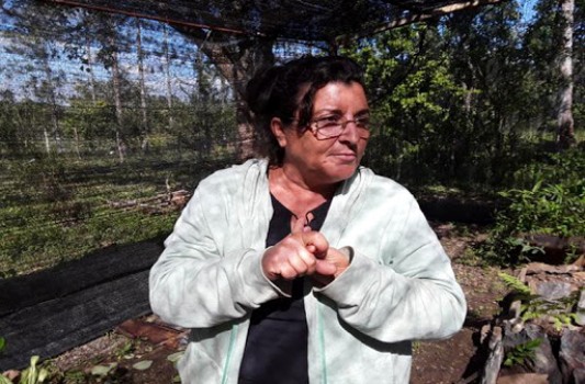 Tania Otero, hija de Enrique Otero Fernández, conocido como el Gallego Otero, es fiel seguidora de la tradición de su padre, la medicina natural y tradicional, en la provincia Cienfuegos, Cuba. /Foto: ACN
