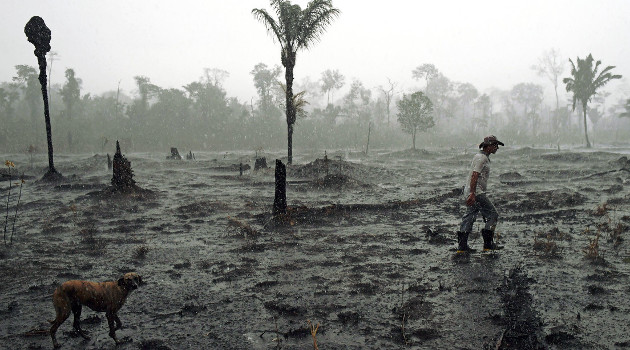 Una zona deforestada y quemada en la Amazonia brasileña. /Foto: Carl De Souza (AFP)