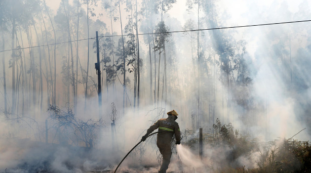 Un bombero ayuda a extinguir un incendio forestal cerca de Fontao (Portugal), 2019. /Foto: Rafael Marchante (Reuters)