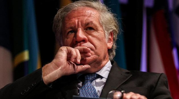 Luis Almagro, secretario general de la OEA. /Foto: Prensa Latina