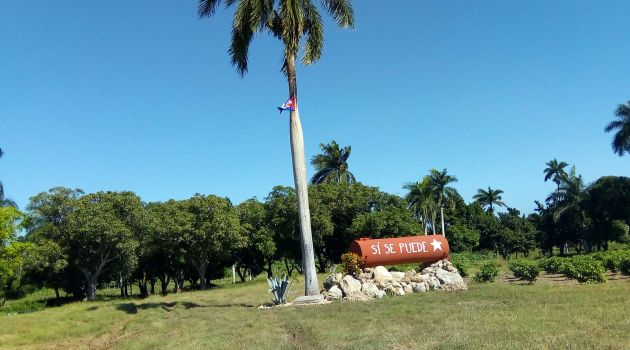 Sí se puede, una máxima de la finca La Isabela./Foto: Tay Toscano