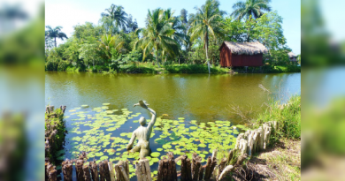 Isovida posibilitará tomar muestras en la Ciénaga de Zapata para evaluar la capacidad de captura de carbono en el humedal, por primera vez en Cuba.