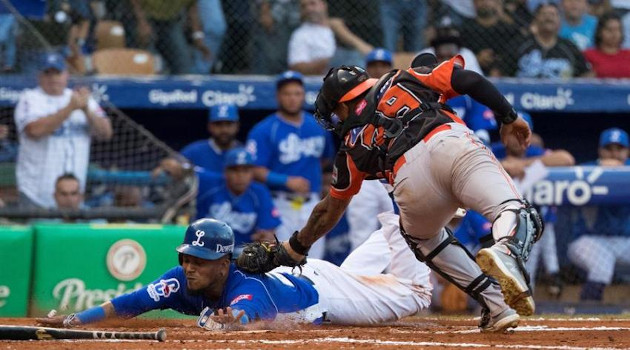 Tigres del Licey vs. Toros del Este. /Foto: EFE