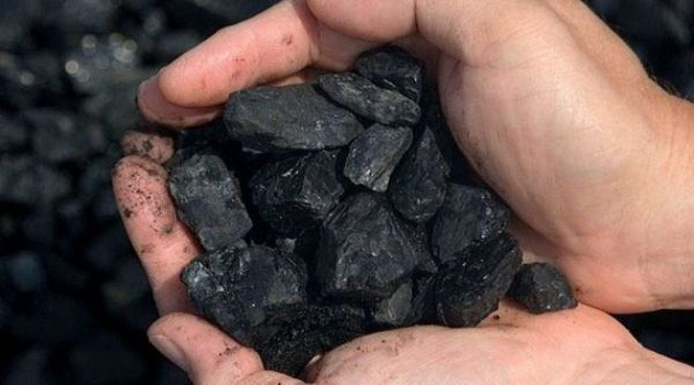 El carbón vegetal es uno de los rubros exportables de la Agricultura en Cienfuegos.
