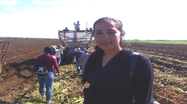 Geicy Pérez Curbelo, joven abreuense que posee la doble militancia, participa en la jornada productiva. /Foto: Del autor