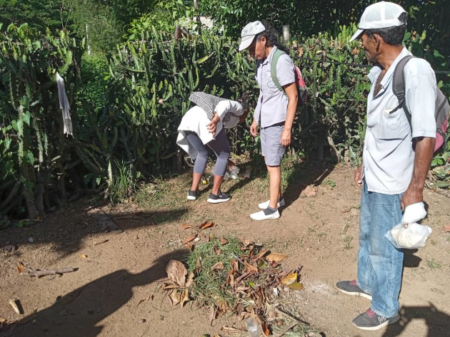 Trabajadores de la campaña antivectorial participando en los festivales por la salud del municipio de Palmira.