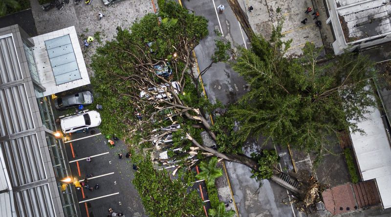 Un árbol cayó sobre varios automóviles cerca de un restaurante durante una fuerte tormenta en Caracas, Venezuela, el 20 de octubre de 2023./ Foto: De Internet