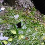 granizos-occidente-cuba-tormenta3