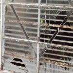 granizos-occidente-cuba-tormenta5