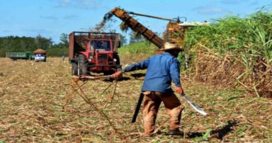 Reconocen a azucareros cumplidores de la zafra en Cienfuegos
