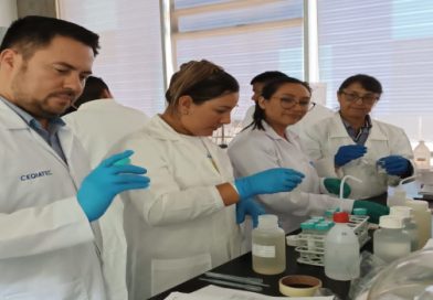 Investigadoras cubanas participan en curso auspiciada por el OIEA
