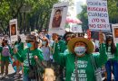 Nada que celebrar: buscadoras de desaparecidos en México conmemoran el Día de la Madre con protestas