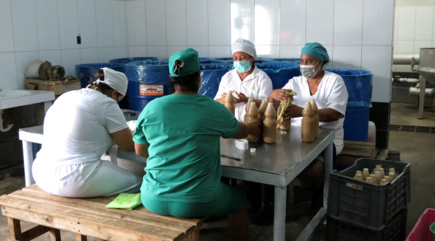 En la mini industria Los Molinos de Cruces se labora hoy a partir de la fruta del mango. / Foto: del autor/ 5 de Septiembre