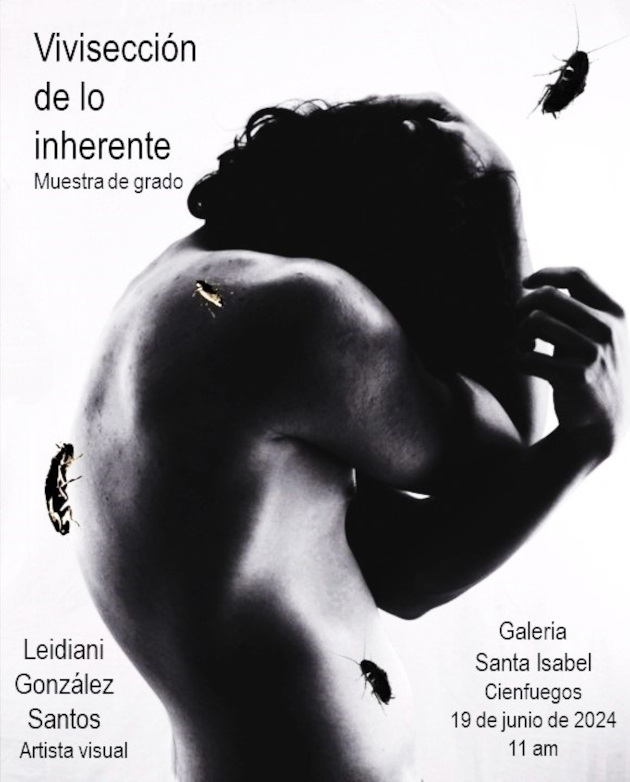 Vivisección de lo inherente, instalación fotográfica de Leidiani González Santos.