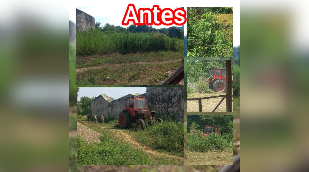 Fueron días intensos para eliminar malezas, pero el proyecto avanza, dijo Marisol Otero Álvarez, directora del Museo Fortaleza Nuestra Señora de los Ángeles de Jagua.