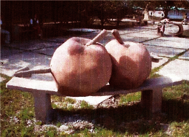 Los amantes en el Parque de los suspiros (Universidad Carlos Rafael Rodríguez, Cienfuegos, 2011).