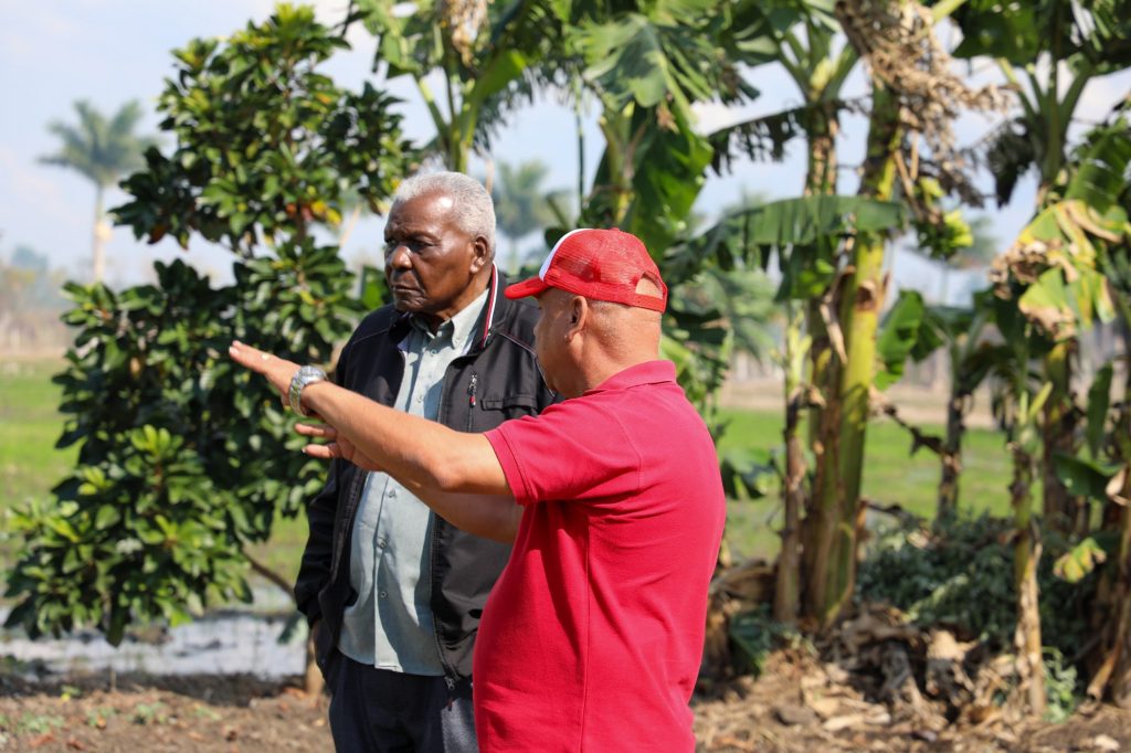 El visitante recibe una explicación sobre las proyecciones del cultivo del arroz, en Aguada/ Foto: Miguel Antonio Sarduy