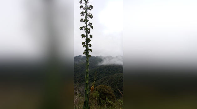 Saludando de cerca a las nubes.