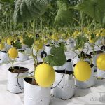 78 năm Ngày Quốc khánh (2/9/1945 – 2/9/2023): Việt Nam đạt được nhiều thành tựu phát triển đáng tự hào