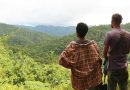 Las delicias que trae el viento montuno (+Fotos)