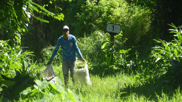 Los cortadores de hierba aprovechan la excesiva vegetación que hoy crece sobre los rieles.J / Foto: Del autor