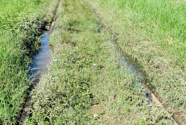 Las aguas fétidas también deterioran la calidad de los rieles. / Foto: Del  autor