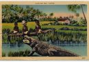 Alligator Alcatraz: Cuando el pantano no es lo más fétido
