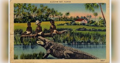 Alligator Alcatraz: Cuando el pantano no es lo más fétido Alligator Alcatraz: Cuando el pantano no es lo más fétido