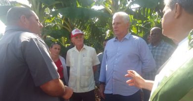Presidente cubano recorre objetivos económicos en Cienfuegos