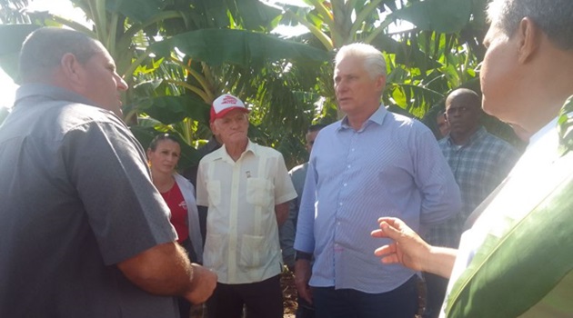 Presidente cubano recorre objetivos económicos en Cienfuegos